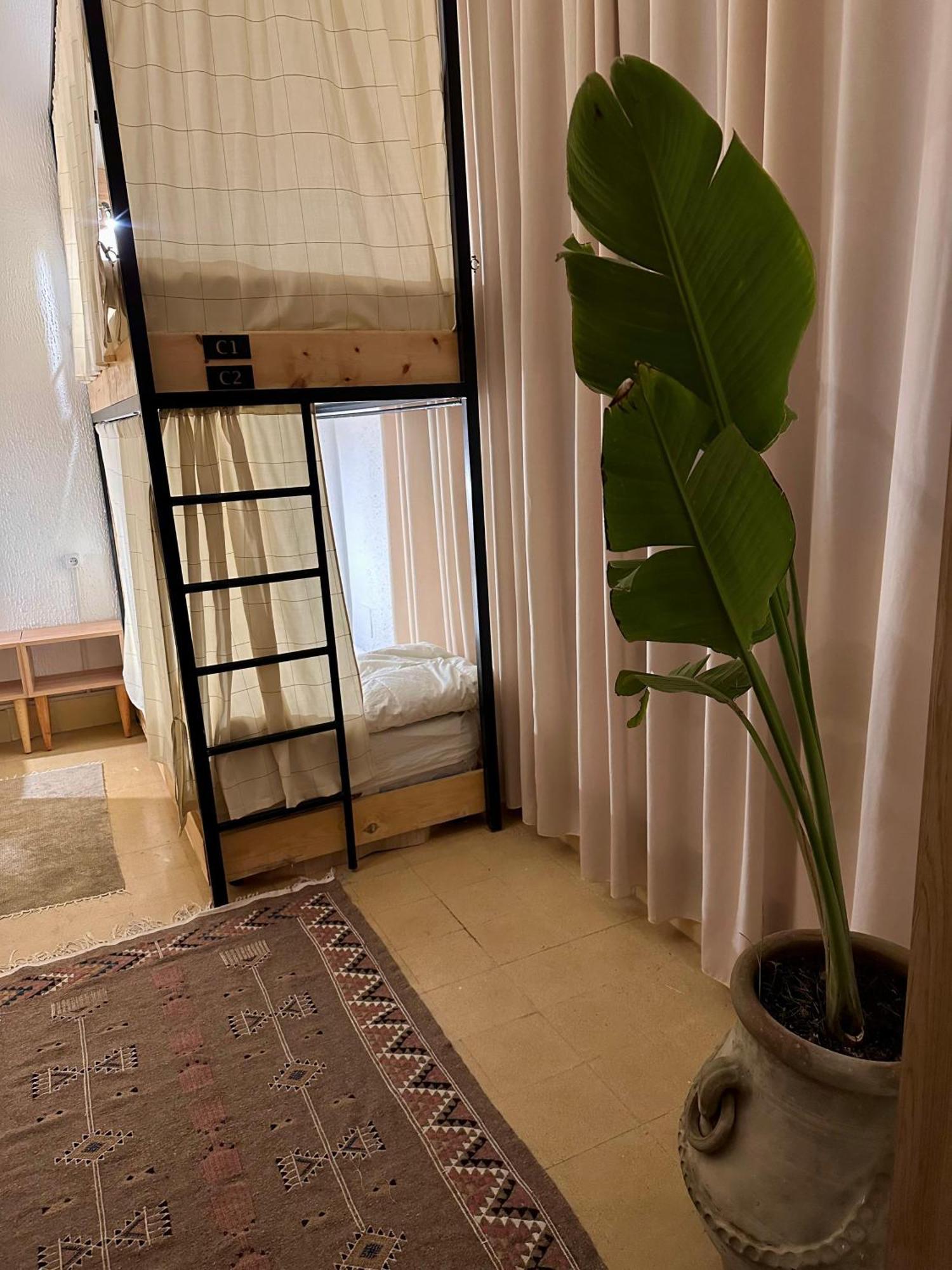 Nomads Hostel Tunisia Dış mekan fotoğraf