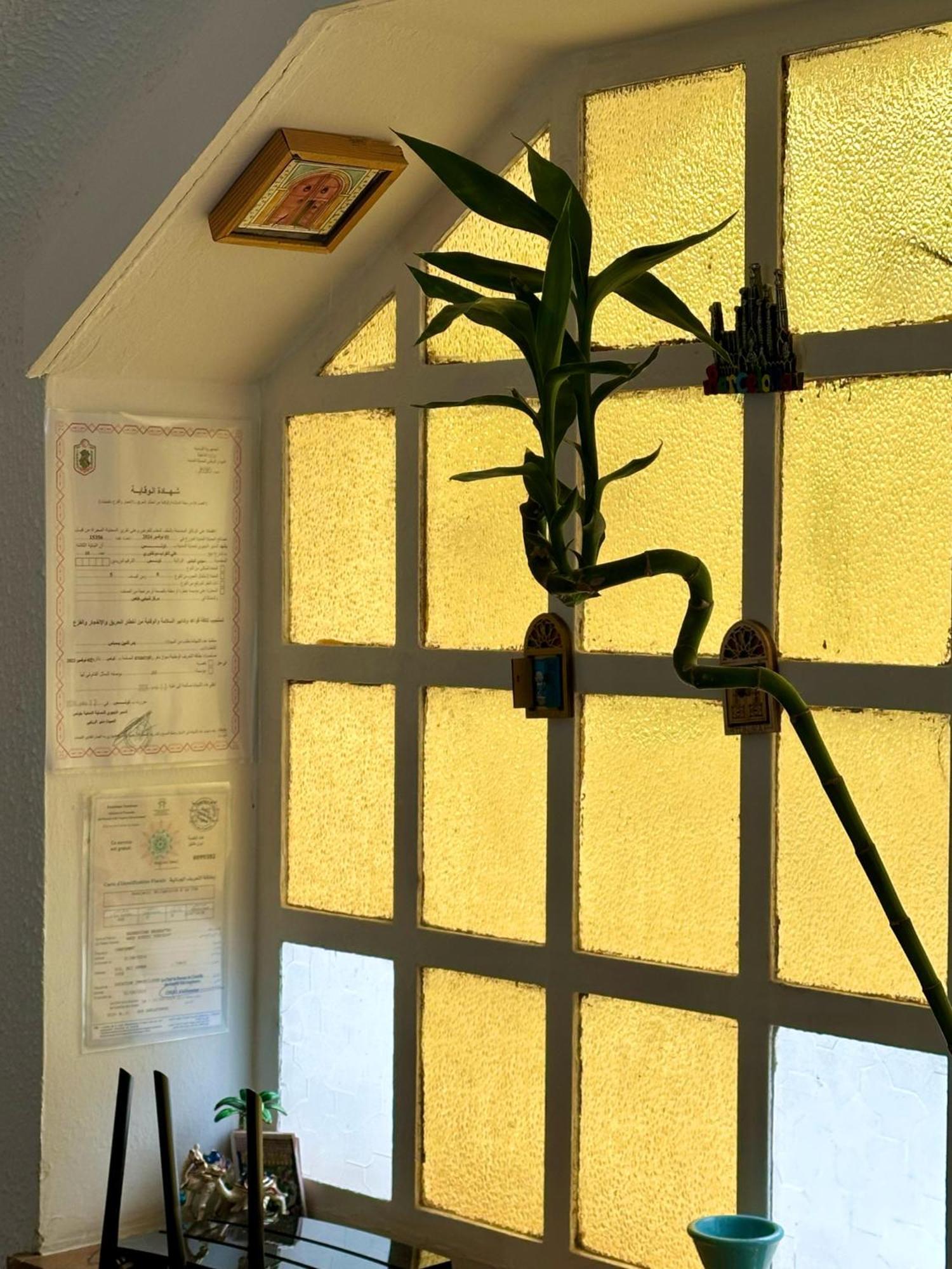 Nomads Hostel Tunisia Dış mekan fotoğraf