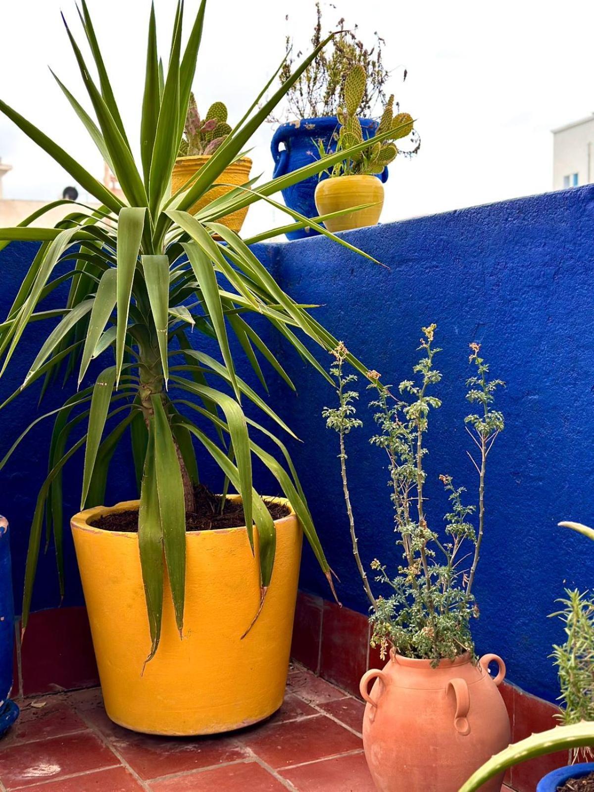Nomads Hostel Tunisia Dış mekan fotoğraf