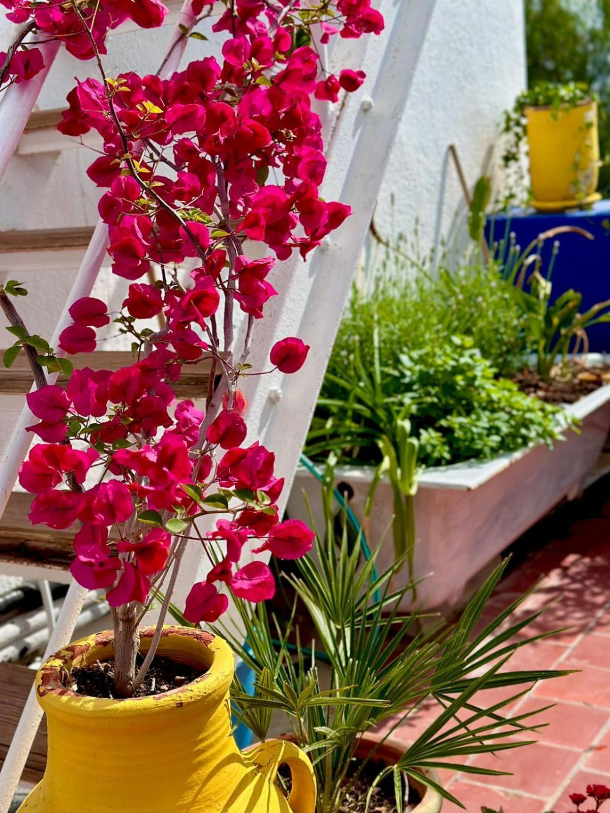 Nomads Hostel Tunisia Dış mekan fotoğraf
